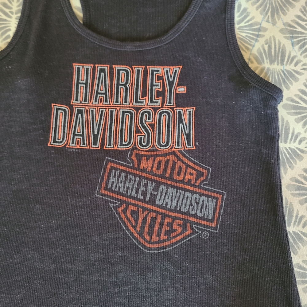 Harley-Davidson tank - Picture 2 of 5